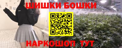 шишки Можайск
